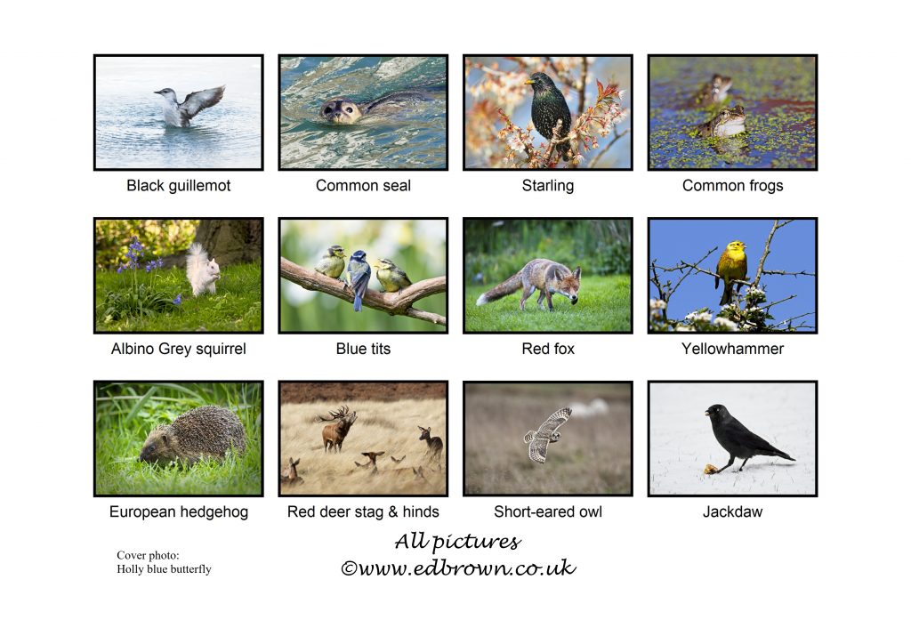 2020 wildllife calendar back cover